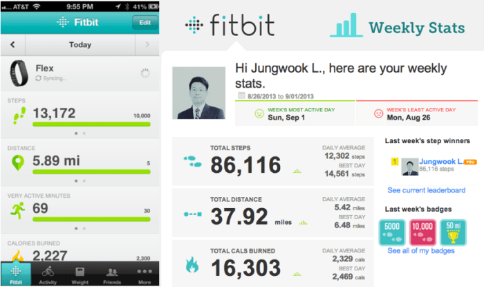 왼쪽은 모바일앱으로 보는 하루의 운동량. 연결할 필요없이 블루투스를 통해 자동으로 체크해주므로 편하다. 그리고 오른쪽은 내 이메일로 온 일주일간 운동통계.
