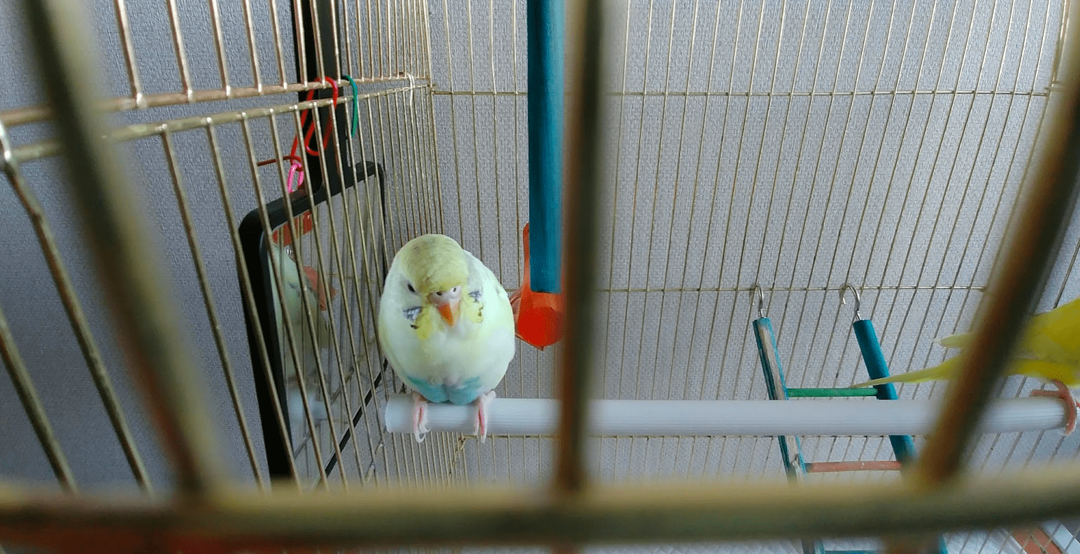 Screen Shot 2017-03-11 at 10.20.10 PM