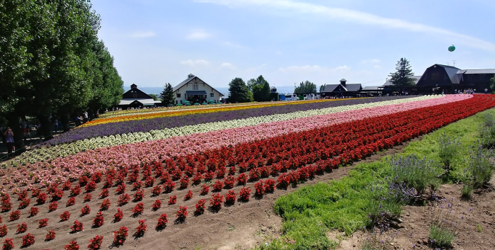 Screen Shot 2017-08-13 at 10.40.29 PM