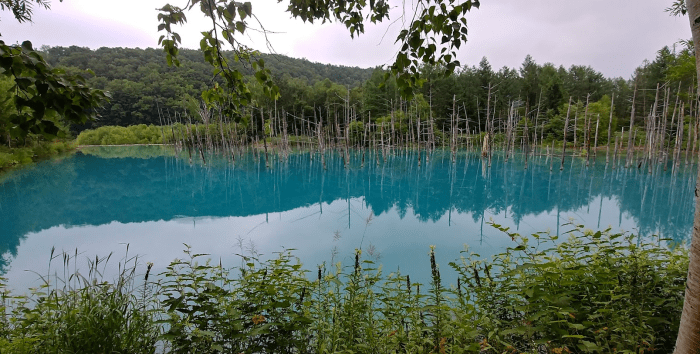 Screen Shot 2017-08-13 at 10.40.44 PM