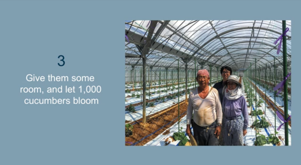 Screen Shot 2017-08-19 at 11.17.01 PM